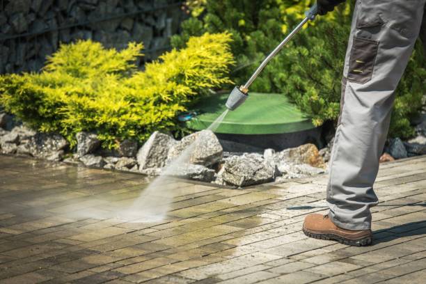 Best Fence Cleaning  in Opelousas, LA